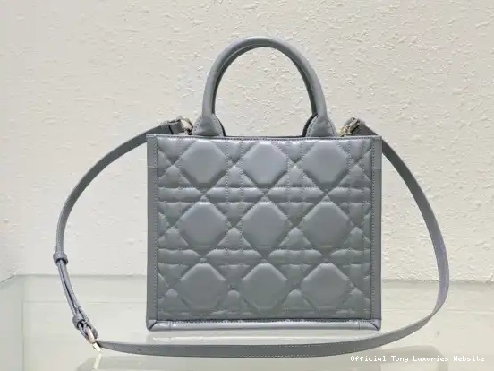 Tony Luxuries SMALL diro TOTE-26.5*21*14CM BOOK 0405